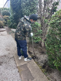 国分寺市で施肥する植木屋「纏造園」