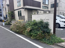 立川市で剪定刈込する植木屋「纏造園」