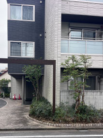 立川市で剪定する植木屋「纏造園」