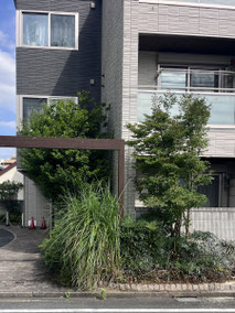 立川市で剪定する植木屋「纏造園」