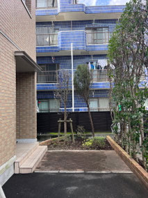 立川市で剪定する植木屋「纏造園」