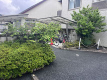 立川市で剪定する植木屋「纏造園」