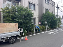 立川市で剪定する植木屋「纏造園」