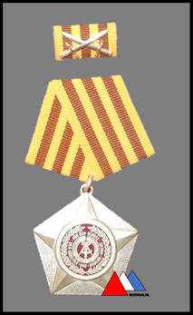 Vorderseite Kampforden"Fur Verdienste am Volk" Band in unterschiedliche Farbtonwerten !!! diese Ausführung  MUSTER 1989-1990 Silber.