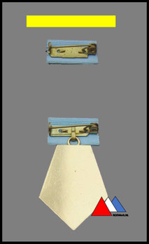 Ruckseite "Verdienter Flieger 1974-1976 "Bunt Metall Goldfarben lackiert oder etwas gedunkelt.