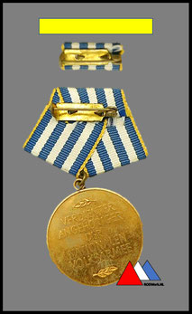 Ruckseite  "Verdienter angehörige Der Nationalen Volksarmee" (1975-1976).