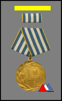 Vorderseite "Verdienter angehörige Der Nationalen Volksarmee" (1975-1976).