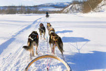 ©Hurtigruten