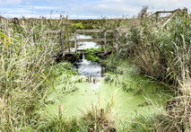 Old Laundry, October 2025