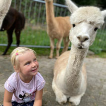 Kind hautnah mit Alpaka beim Kindergeburtstag