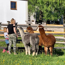 Kinder mit Alpakas auf der Weide