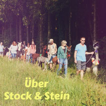 Alpakawanderung durch Wald und Felder
