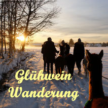 Glühweinwanderung im Winter mit Alpakas und Lamas