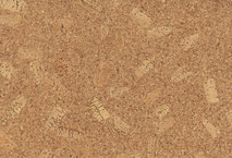 Corpet Designcork Parkett Im Webs Webseite