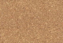Corpet Designcork Parkett Im Webs Webseite