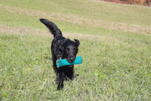 Dummytraining mit Markus Nitsche, Küttigen - Aarau