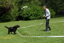 Longieren mit Markus Nitsche, Küttigen - Aarau