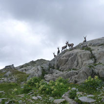 Geführte Bergwanderung zum Pizzo dell'Uomo