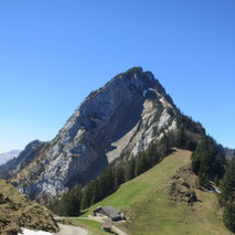 Geführte Bergwanderung zum Rigi Hochflüe