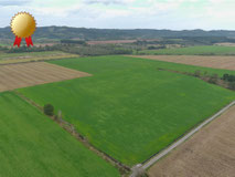 草地整備忠類地区21工区