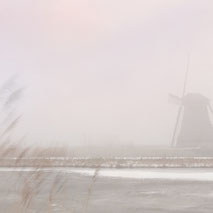 ------------------- KINDERDIJK -------------------