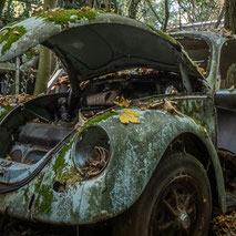-------------------- OLD CARS ---------------------