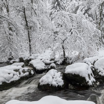 ---------- HOEGNE IN THE SNOW ----------