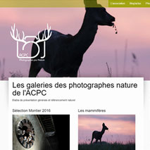 Dans le 1000 Communication - Agence web et design en Loir-et-Cher - Création du site web responsive design de l'association de Chasse Photographique de la Région Centre ACPC