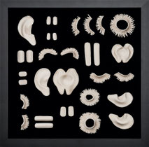 Specimens, 2021 by Tina Zlatina