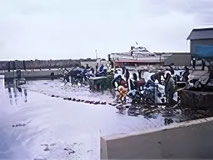 4.捕獲した油を回収