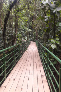 Caminata Volcán Arenal + Paseo en el Lago