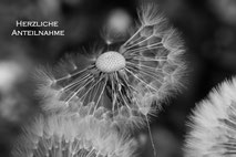 Trauerkarten schwarz/weiss