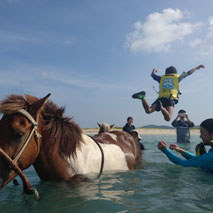 久米島馬牧場