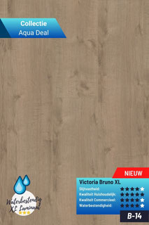 B14 - Victoria Bruno XL