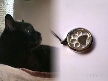 pet-loss-memorial-jewel-locket-artisan-paw-print-silver-design-mi-miga-personalized-hair-cat-rocco