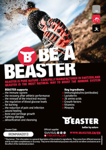 Beaster Flyer