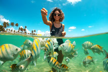 santo aleixo island, barra de sirinhaém, fish, snorkeling, turquoise water, reef fish, fishing, coral reef, dream island, brazil, tropical island
