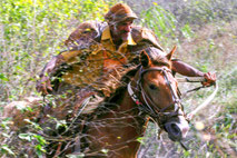 vaquejada, raimundo jacó, cowboys, serrita, brasil, pernambuco, montaria em touro, shows, forró, luiz gonzaga, parque estadual joão câncio