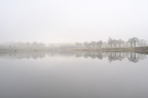 Naturfoto einer spiegelnden Baumreihe im See bei Nebel fotografiert von Angelika Zwick