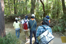 里山散歩（野馬土手）