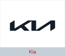 Logo von Nissan.