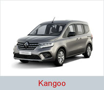 Rollstuhlgerechter Renault Kangoo in der Farbe silber.