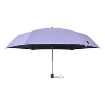 Ash Lavender 229g