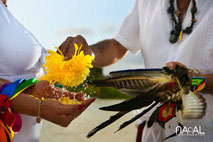 Flores, maíz, plumas y color: símbolos vivos de la unión espiritual en una ceremonia ancestral