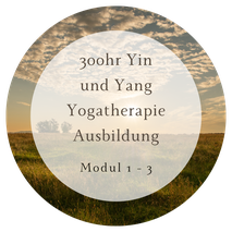300hr Yin und Yang Yogatherapie Ausbildung René Hug
