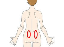 仙腸関節 体表から