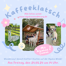 Kaffeklatsch mit Alpakas & Lamas. Wandern und Zeit auf der Weide.