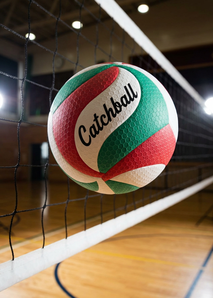 Ein Catchball schwebt vor einem Volleyballnetz.