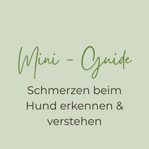 Mini Guide Schmerz beim Hund erkennen & verstehen