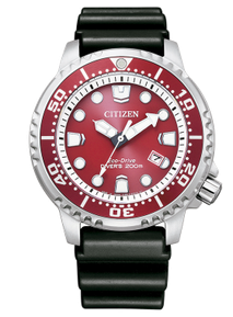 BN0159-15X PVP 228,00€ dto 10% PRECIO FINAL 205,20€